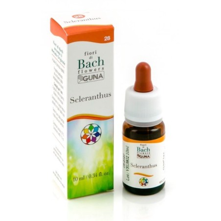 Scleranthus gun gtt 10ml