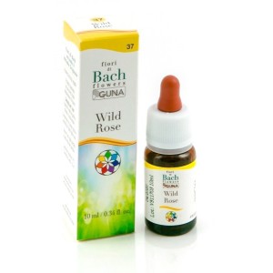 Wild rose gun gtt 10ml