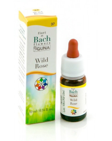 Wild rose gun gtt 10ml Wild rose gun gtt 10ml