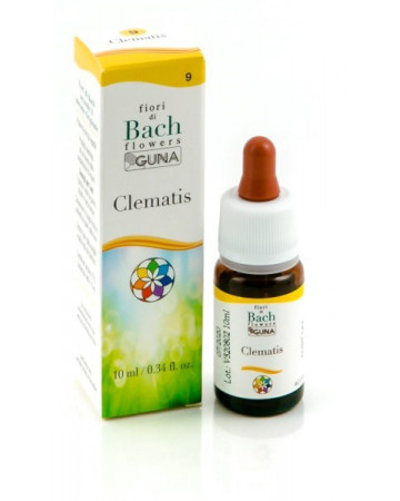 Clematis gun gtt 10ml Clematis gun gtt 10ml
