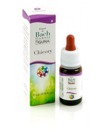 Chicory gun gtt 10ml