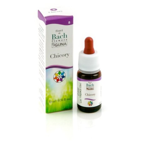 Chicory gun gtt 10ml