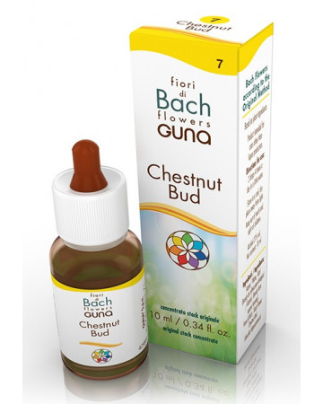 Chestnut bud gtt 10ml Chestnut bud gtt 10ml