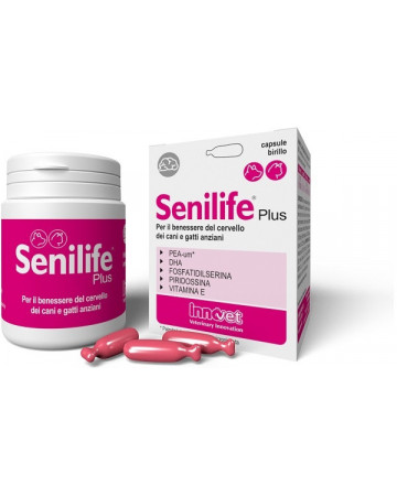 Senilife plus 60 capsule