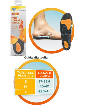 Scholl plantare lombare m 2pz