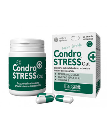 Condrostress + cat 30 capsule