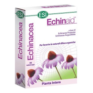 Echinaid 30 capsule