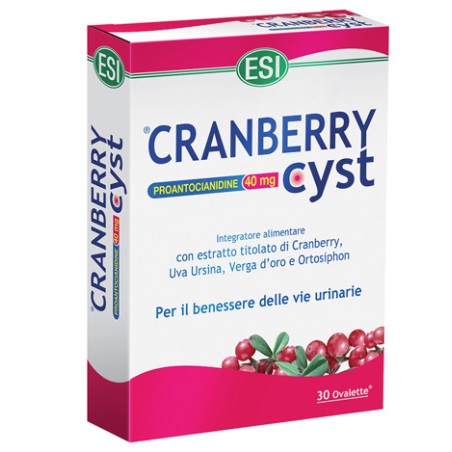Cranberry cyst 30 ovalette