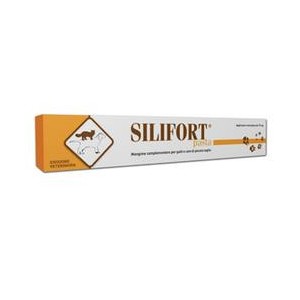 Silifort pasta os siringa 15g