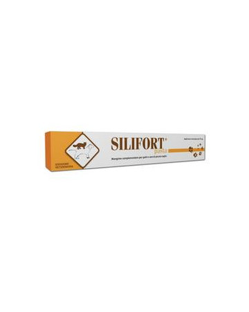 Silifort pasta os siringa 15g