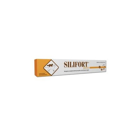Silifort pasta os siringa 15g