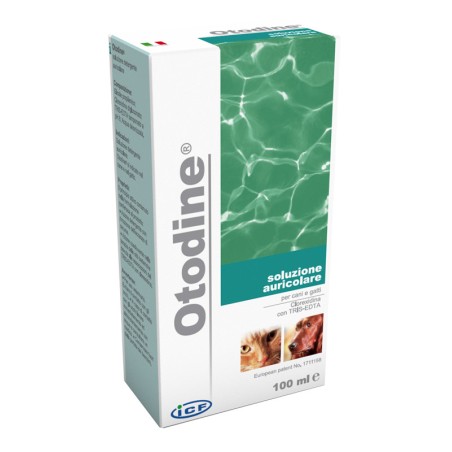 Otodine det liq 100ml