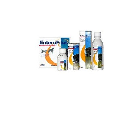 Enterofilus 12x10ml