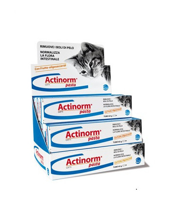 Actinorm pasta gatti 65g