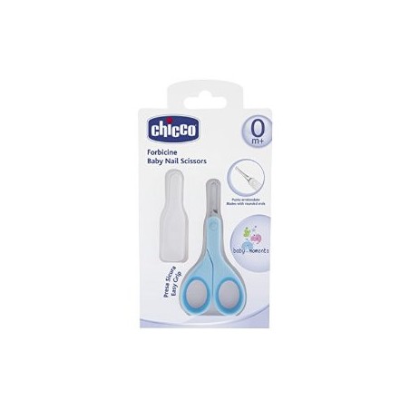 Ch forbicine azzurre