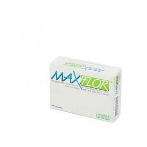 Maxiflor 20bust