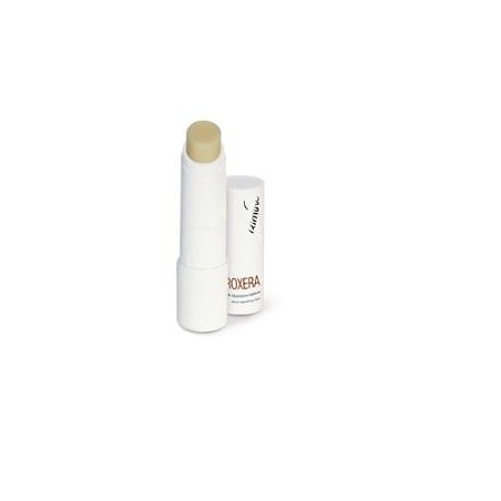 Proxera stick riparator labbra