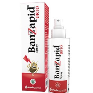 Banzapid spray trattamento 100 ml