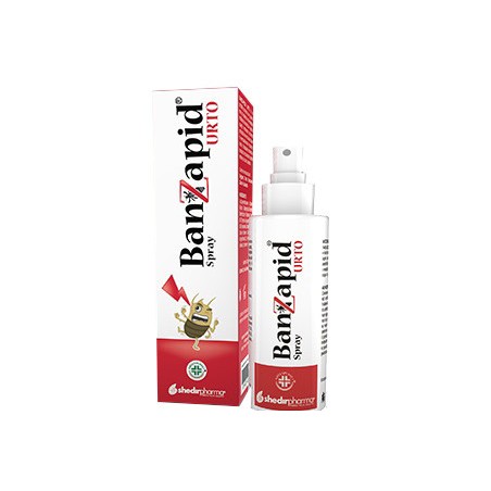 Banzapid spray trattamento 100 ml