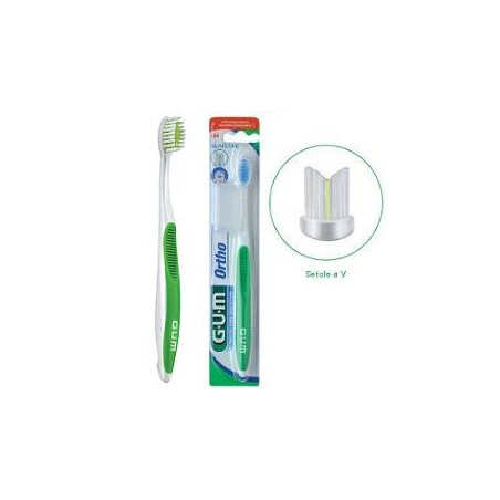 Gum ortho spazz ortodontico