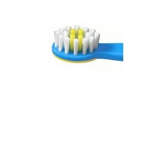 Elmex bimbi educativo 0/3anni