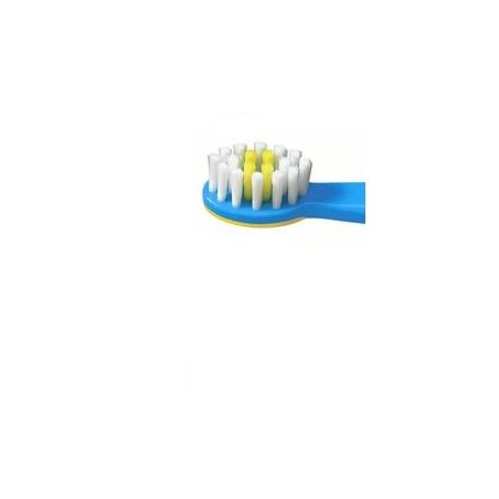 Elmex bimbi educativo 0/3anni
