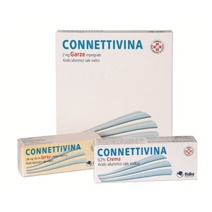Connettivina