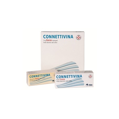 Connettivina