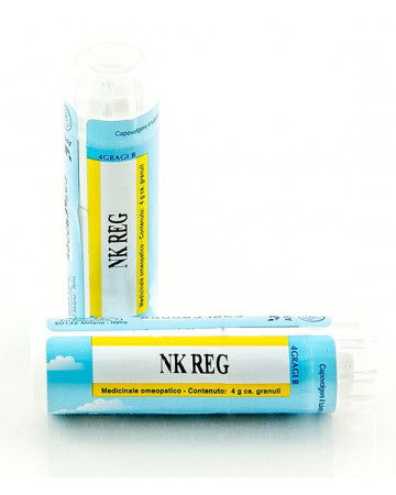 Nk reg gr 4g