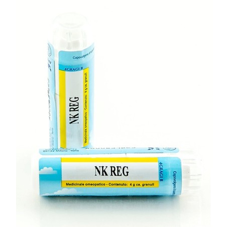 Nk reg gr 4g