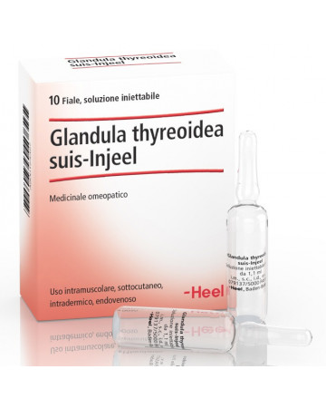 Glandula thyre suis inj 10f he