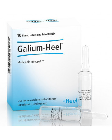 Galium 10f 1,1ml heel