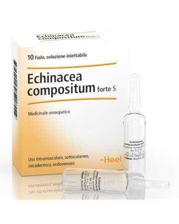 Echinacea comp s 10f ft heel