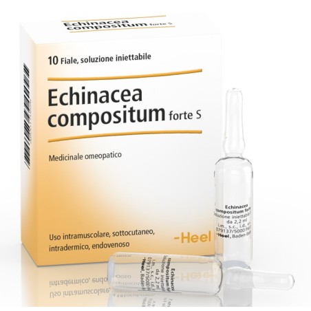 Echinacea comp s 10f ft heel
