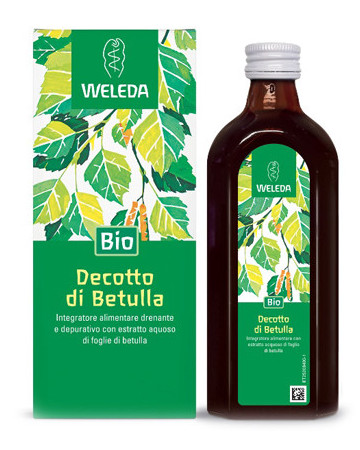 Decotto di betulla 250ml