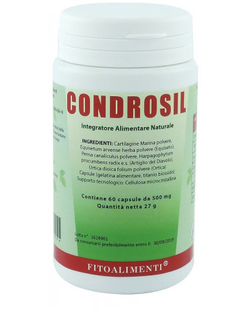 Condrosil 60 capsule