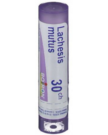 Lachesis mutus 30ch gr Lachesis mutus 30ch gr