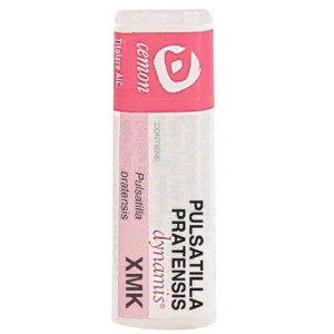 Pulsatilla pratensis xmk gl