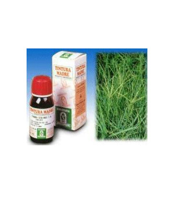 Gramigna 37 50ml tm