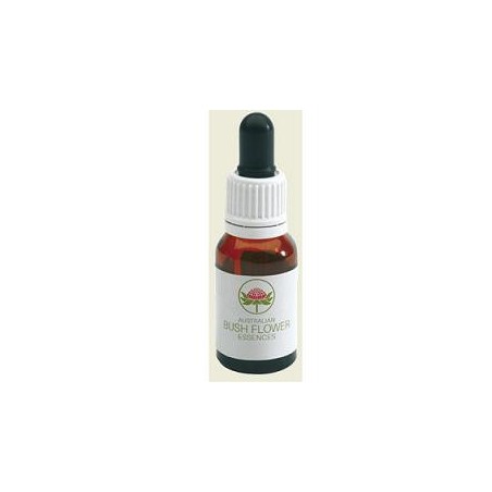 Peach flow tea tree austr15ml
