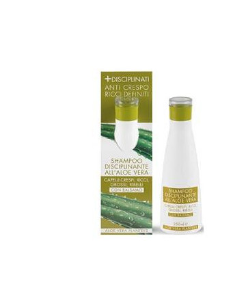 Planter's aloe sh disciplinant