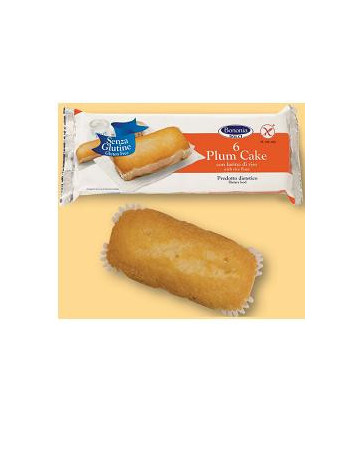 Bononia plumcake farina riso Bononia plumcake farina riso
