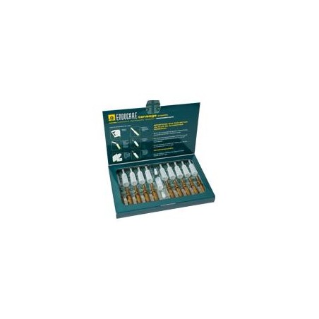 Endocare tensage ampolle 10fx2