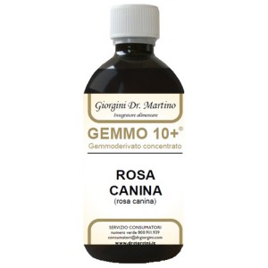Rosa canina liq analco gemm10+