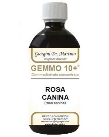 Rosa canina liq analco gemm10+