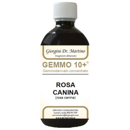 Rosa canina liq analco gemm10+