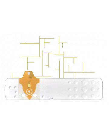 Linea d oro 50str glicemia Linea d oro 50str glicemia