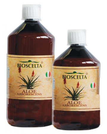 Aloe arborescens puro succo Aloe arborescens puro succo