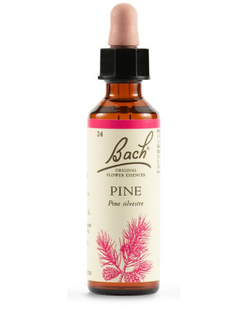 Pine bach orig 20ml