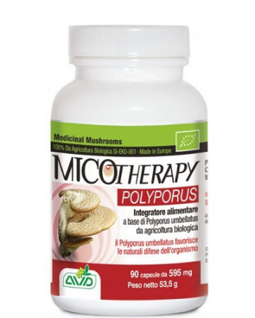 Polyporus micotherapy 90 capsule